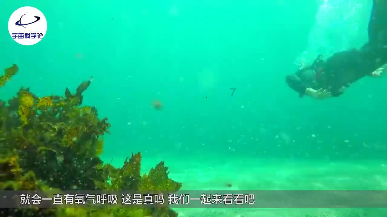 实况俱乐部