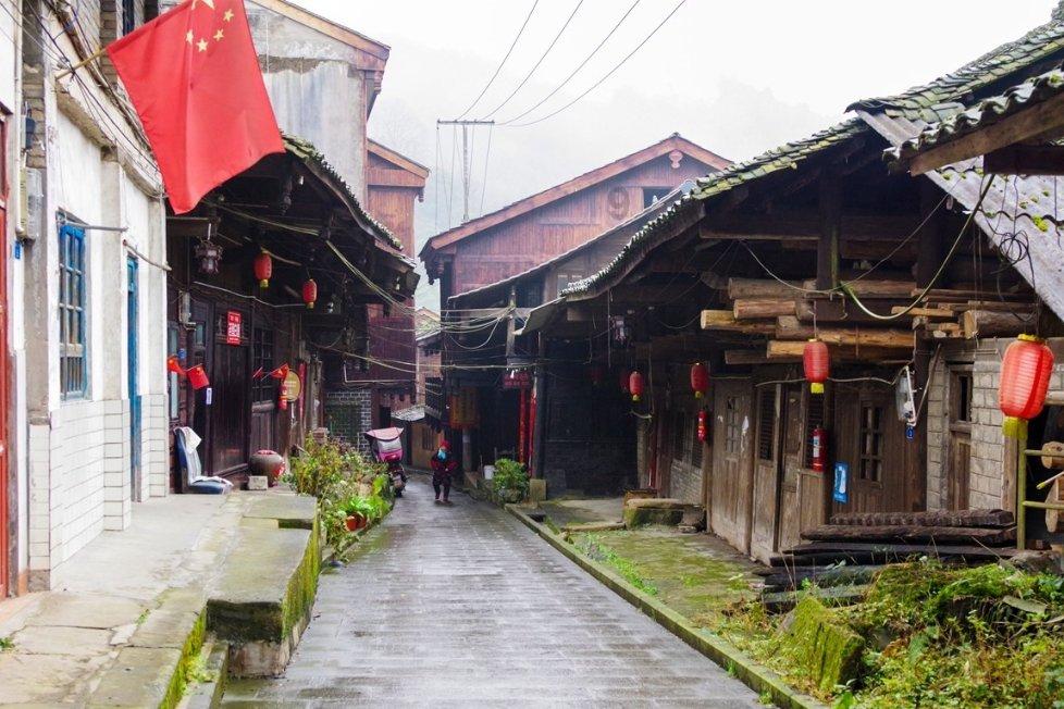 猪猪去冒险